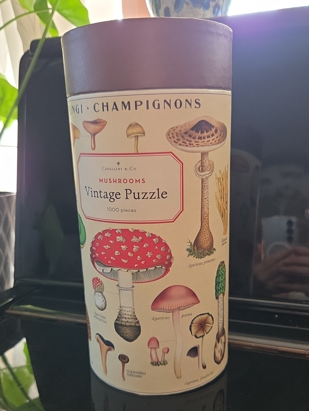 Cavallini & Co. Vintage Mushrooms Puzzle – Red & Cream Artwork